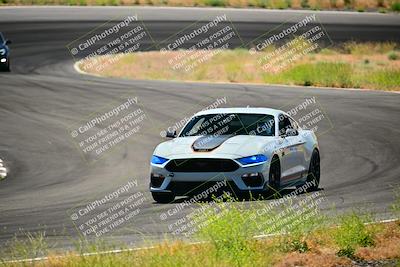 media/Jun-01-2024-Speed Ventures (Sat) [[e1c4d3acdb]]/Purple Group/Session 2 (Turn 4a)/